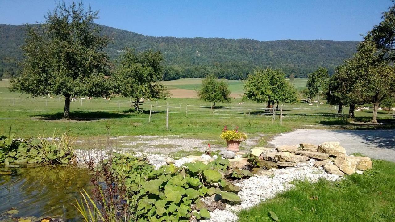 Apartement-Gite Rural A 3 Km De Delemont Courcelon Exterior foto